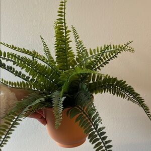 IKEA Green and Tan Decor Accent Fern